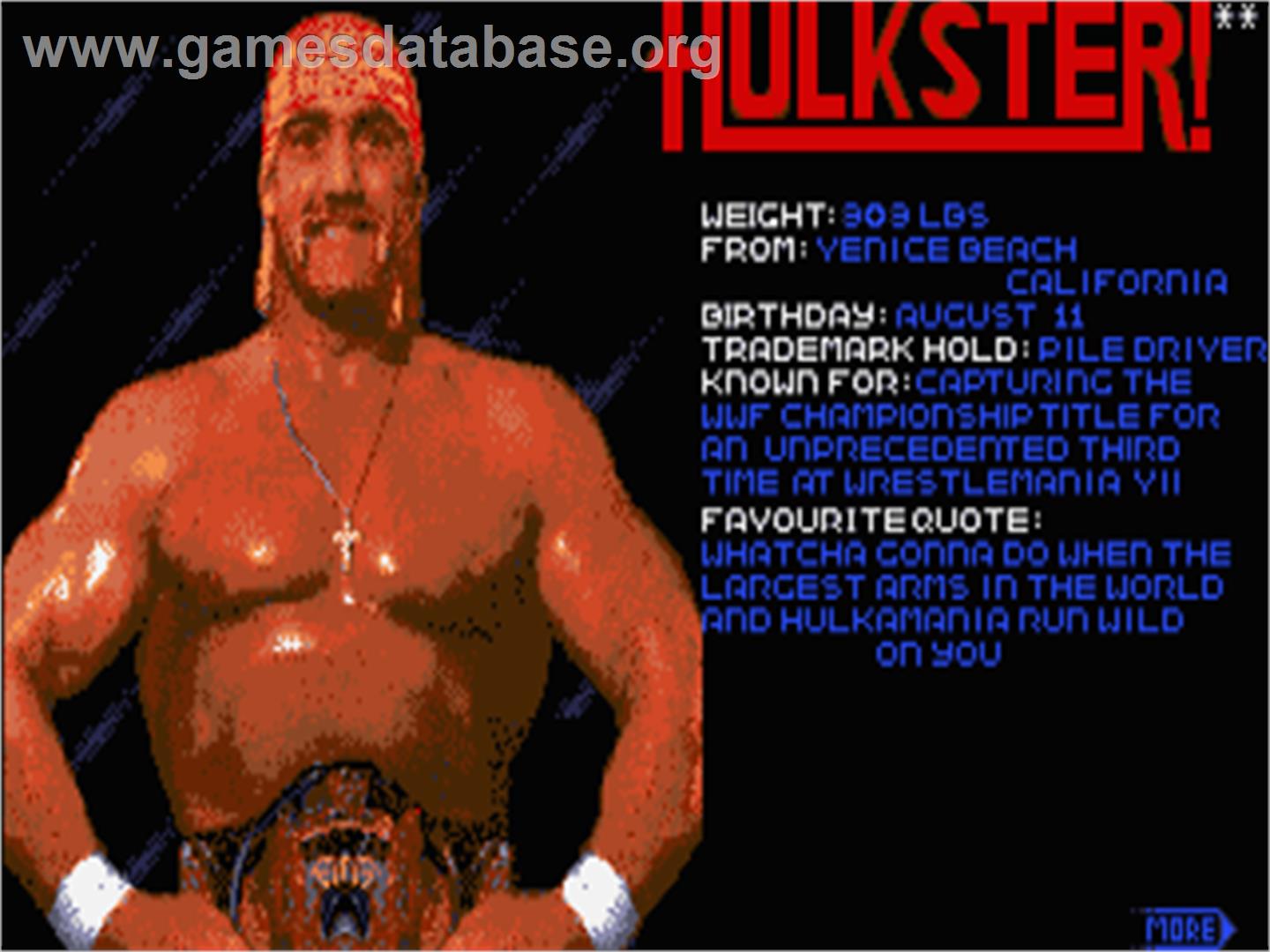 WWF Wrestlemania - Atari ST - Artwork - In Game