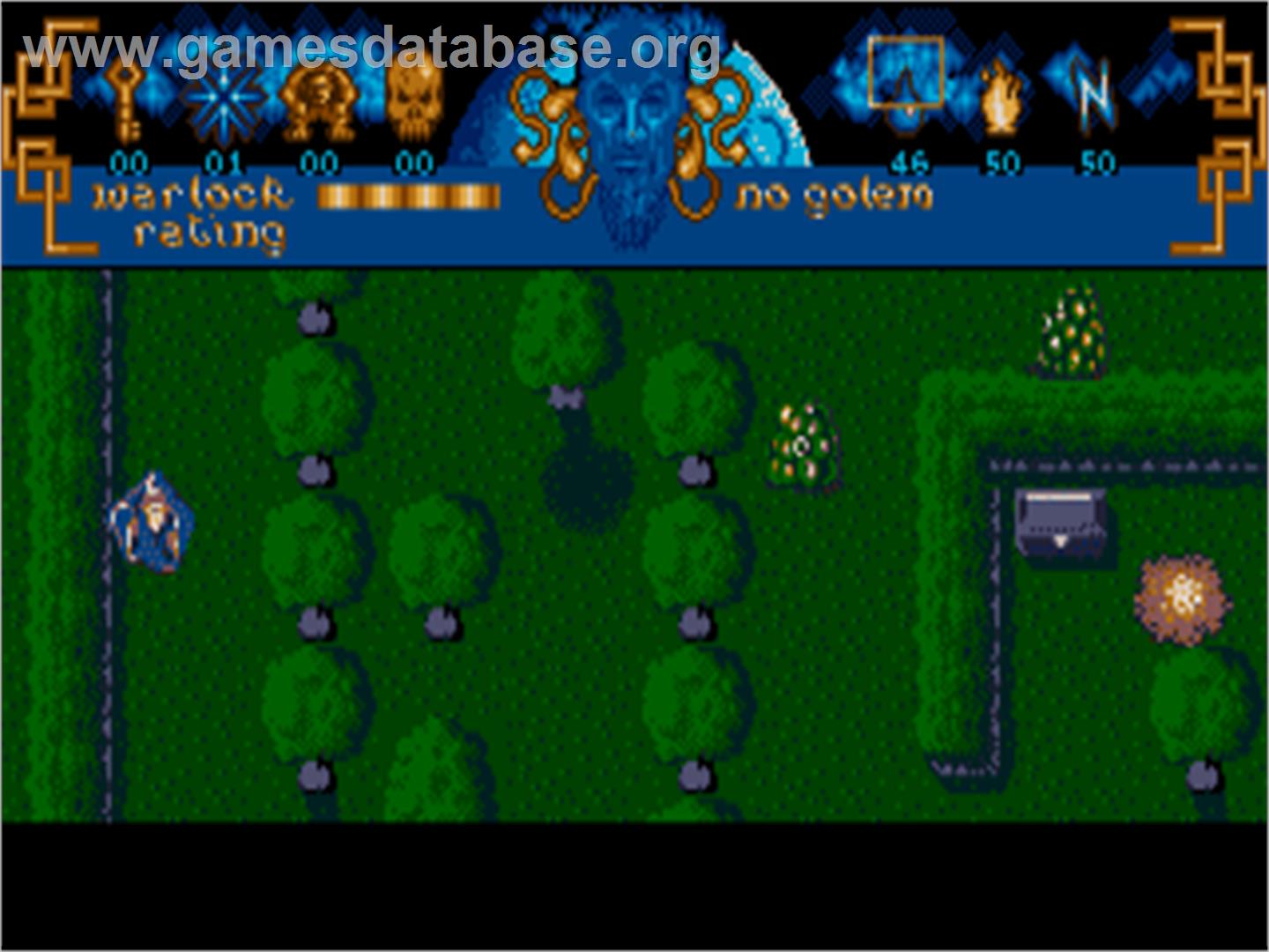 Warlock - The Avenger - Atari ST - Artwork - In Game