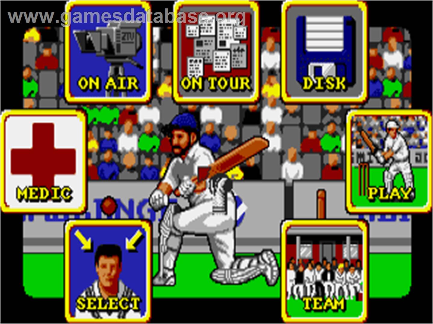 World Cricket - Atari ST - Artwork - In Game