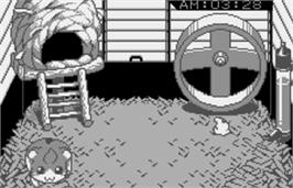 In game image of Dokodemo Hamster on the Bandai WonderSwan.