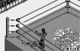 In game image of Fire Pro Wrestling for WonderSwan on the Bandai WonderSwan.