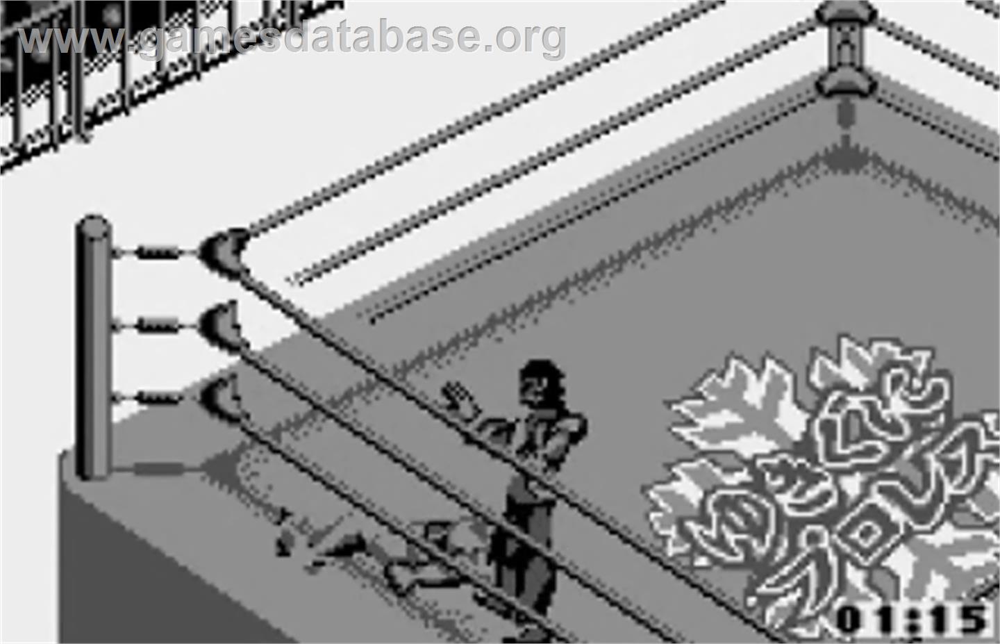 Fire Pro Wrestling for WonderSwan - Bandai WonderSwan - Artwork - In Game