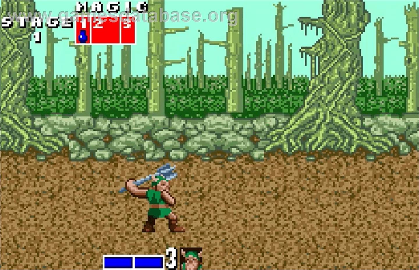 Golden Axe - Bandai WonderSwan Color - Artwork - In Game