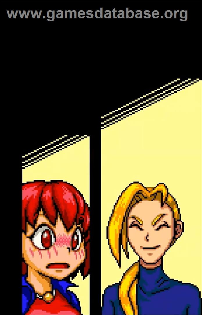Mikeneko Holme's Ghost Panic - Bandai WonderSwan Color - Artwork - In Game