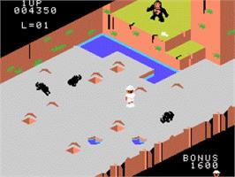 In game image of Congo Bongo on the Coleco Vision.