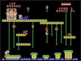 In game image of Donkey Kong Junior on the Coleco Vision.