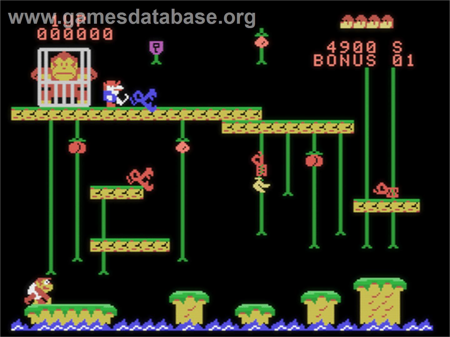 Donkey Kong Junior - Coleco Vision - Artwork - In Game
