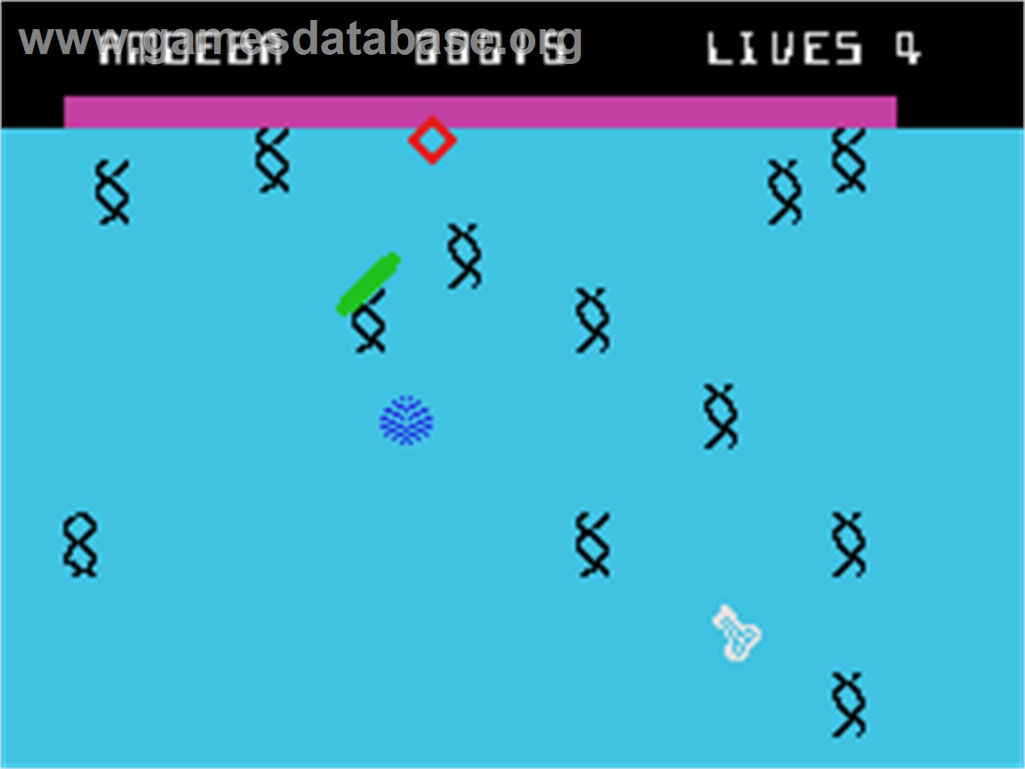 Evolution - Coleco Vision - Artwork - In Game
