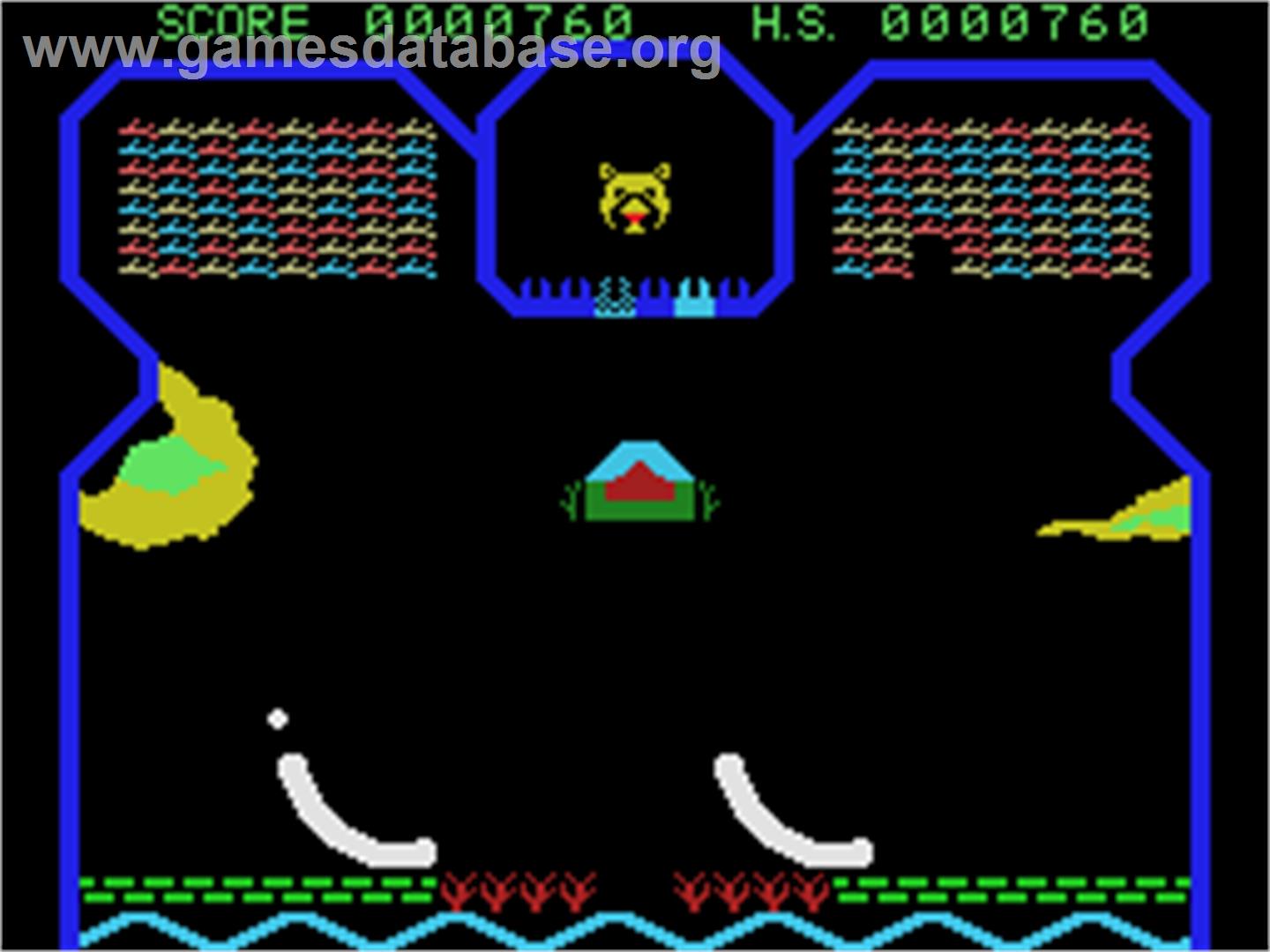 Flipper Slipper - Coleco Vision - Artwork - In Game