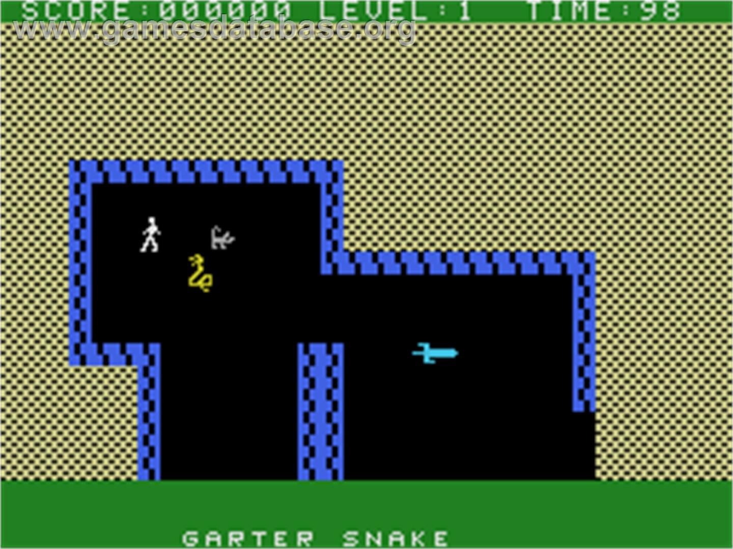 Gateway to Apshai - Coleco Vision - Artwork - In Game