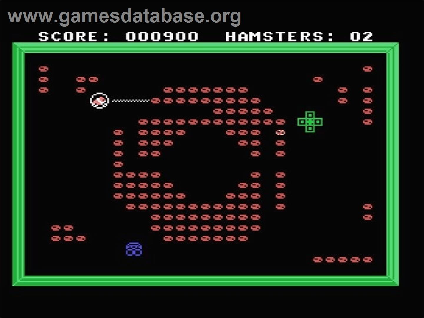 Hamster With Wire - Coleco Vision - Artwork - In Game