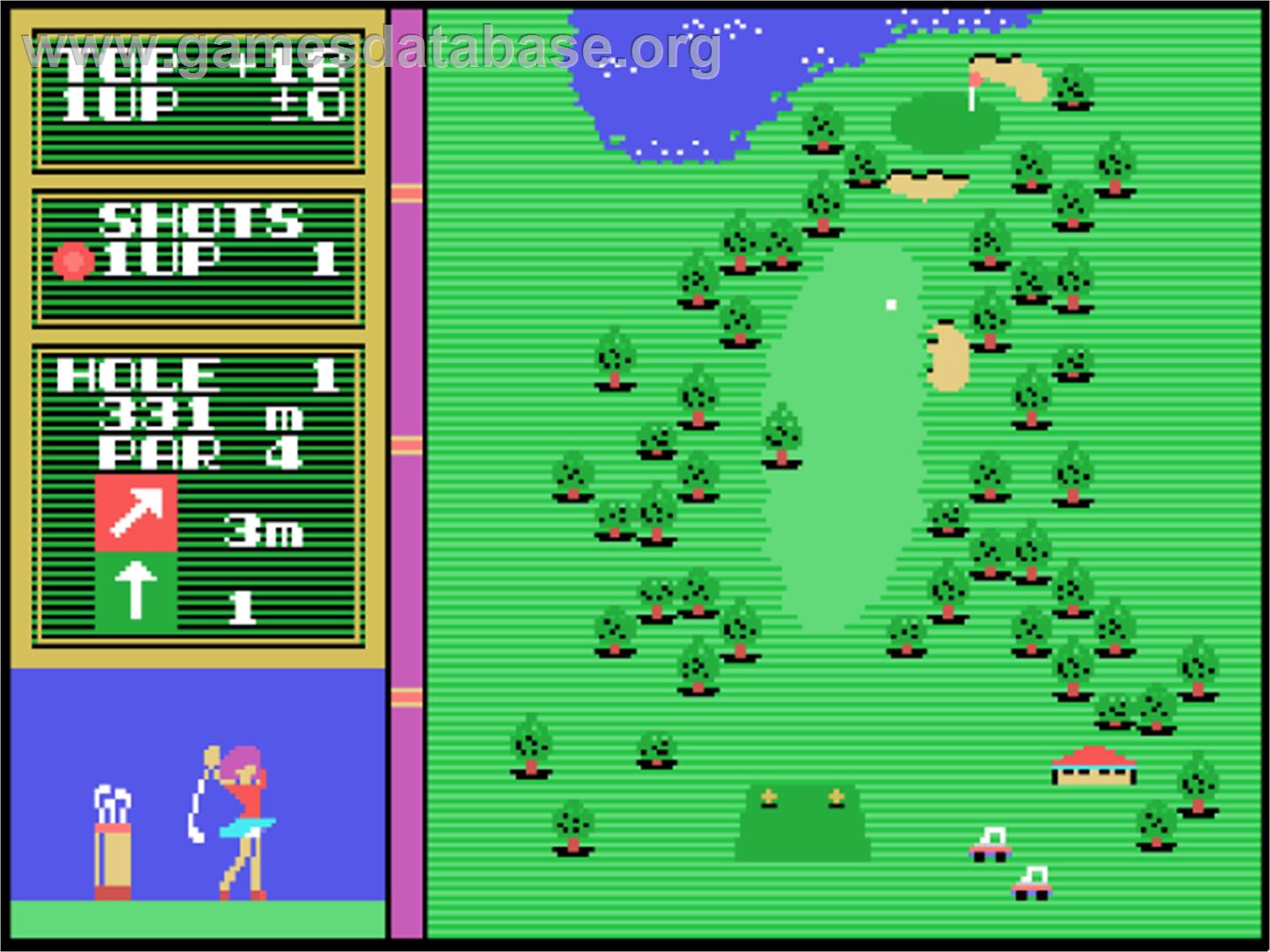 Hole in One - Coleco Vision - Artwork - In Game