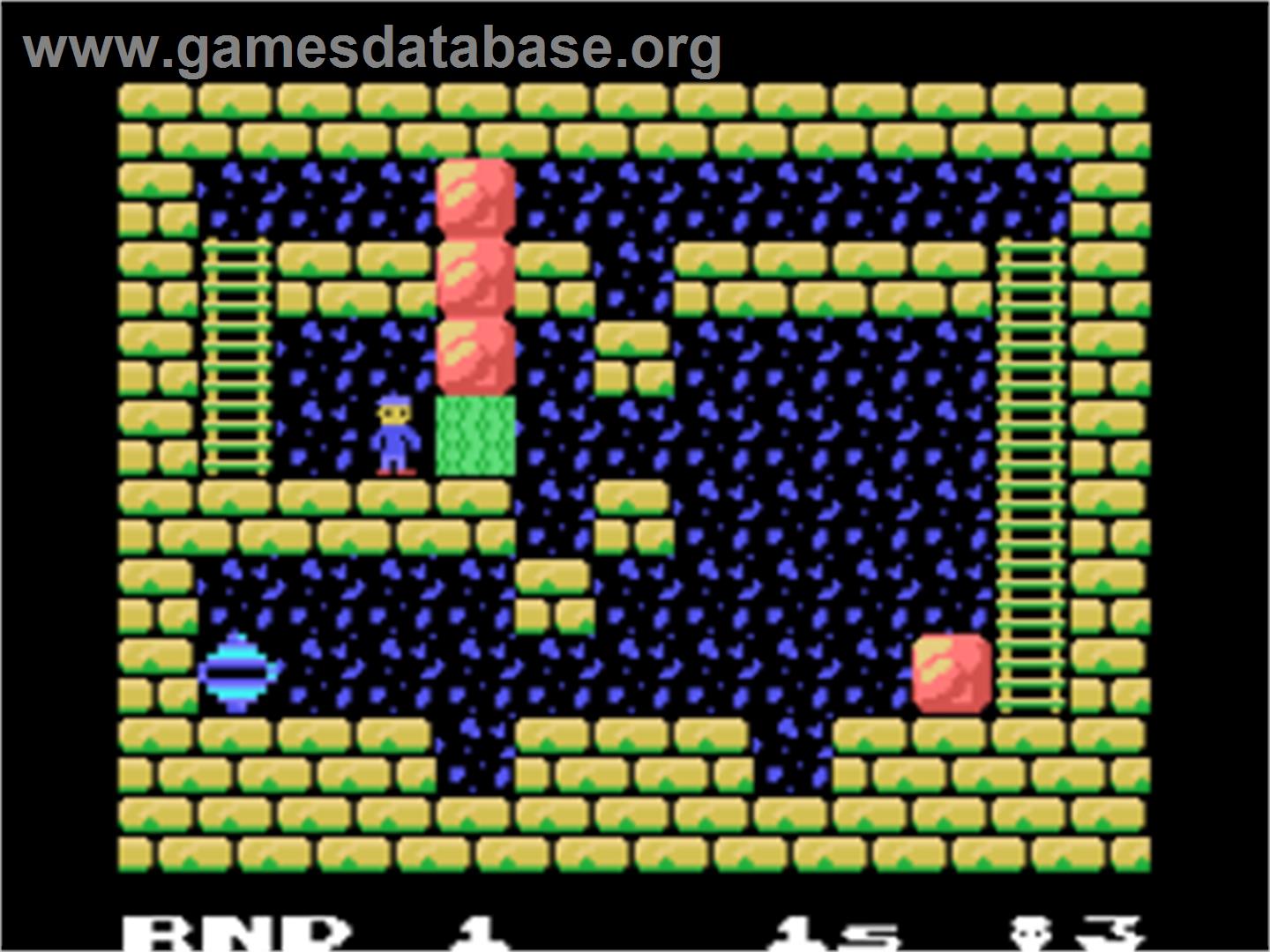Pitman - Coleco Vision - Artwork - In Game