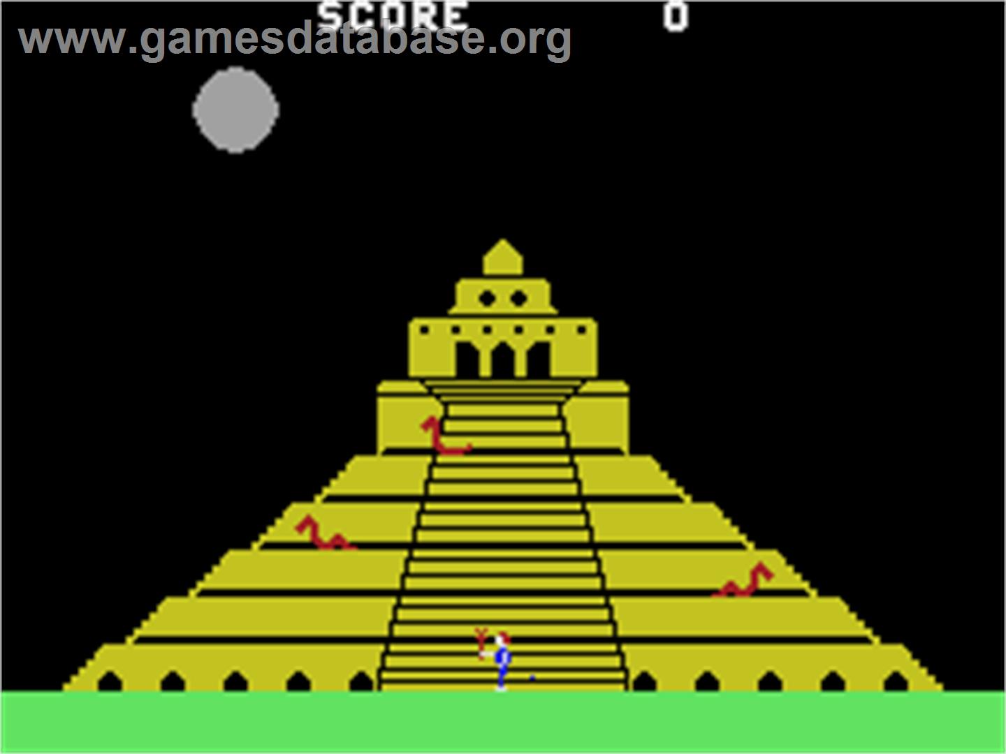 Quest for Quintana Roo - Coleco Vision - Artwork - In Game