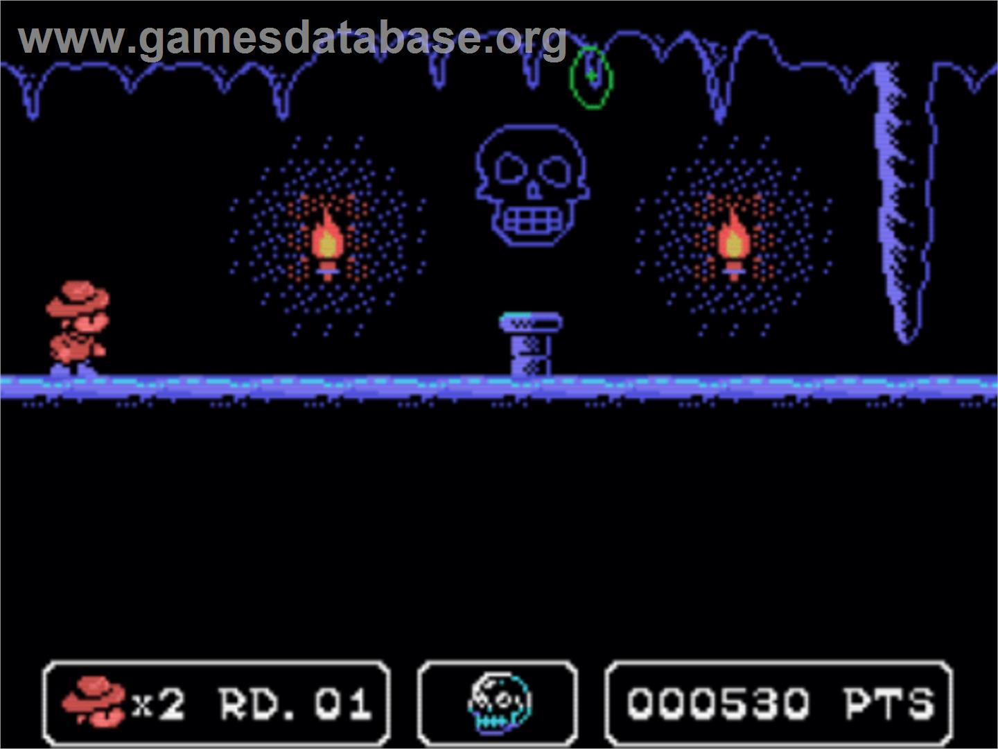 Sydney Hunter and the Caverns of Death - Coleco Vision - Artwork - In Game
