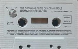 Cartridge artwork for The Growing Pains of Adrian Mole on the Commodore 64.