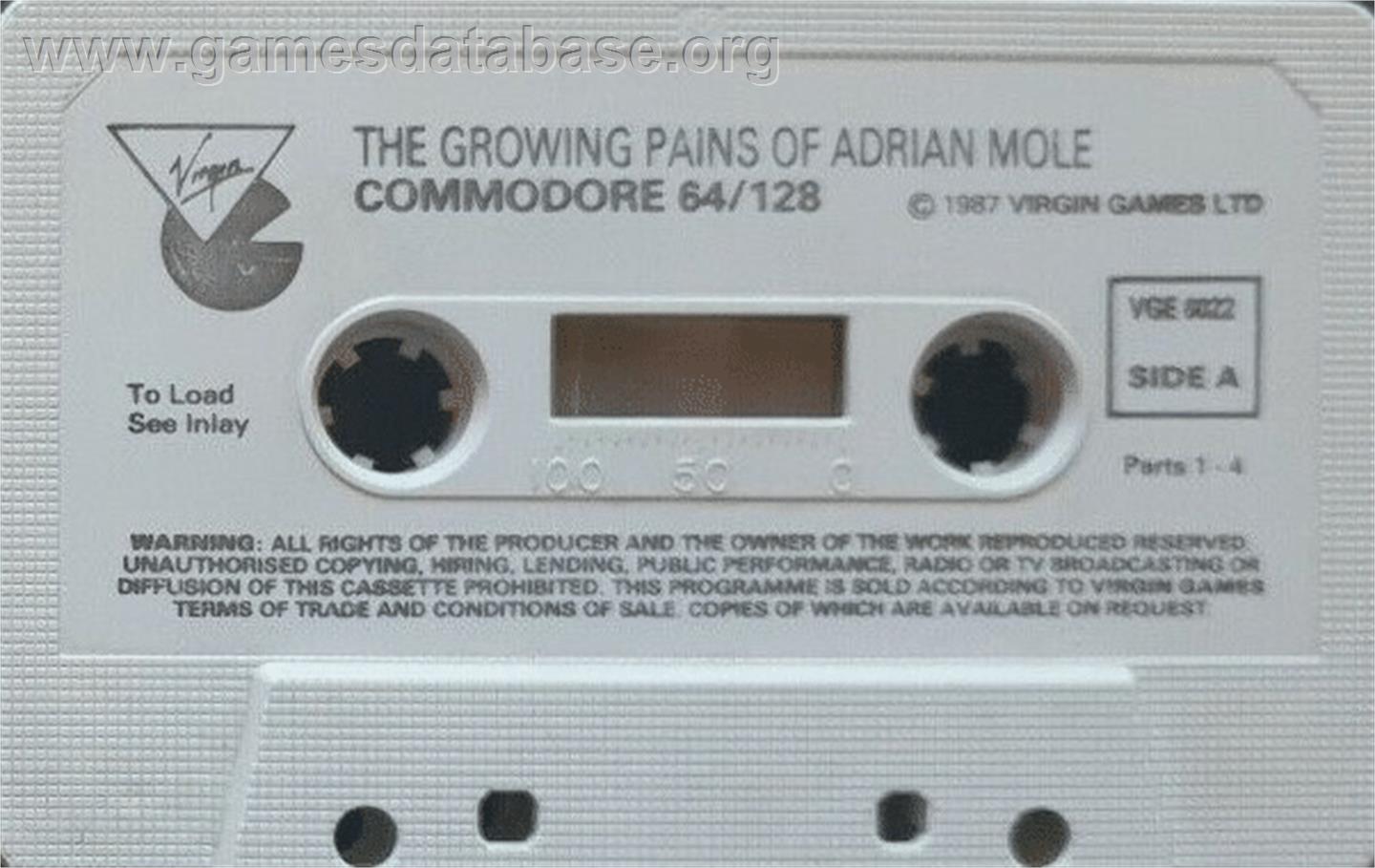The Growing Pains of Adrian Mole - Commodore 64 - Artwork - Cartridge
