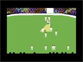 In game image of Arnie Armchair's Howzat Cricket Game on the Commodore 64.