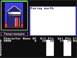 In game image of Bard's Tale 2 - The Destiny Knight, The on the Commodore 64.