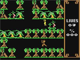 In game image of Chang's Adventure on the Commodore 64.