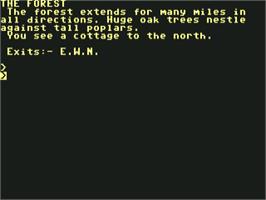 In game image of Dark Tower, The (Melbourne House) on the Commodore 64.