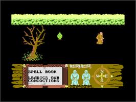 In game image of Feud on the Commodore 64.