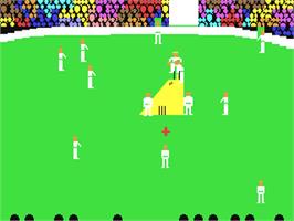 In game image of Ian Botham's Test Match on the Commodore 64.
