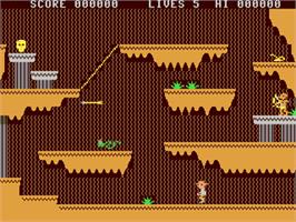 In game image of Indiana Jones And The Golden Head on the Commodore 64.