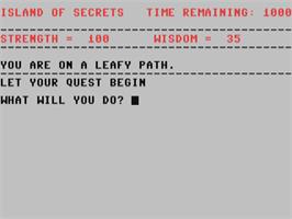 In game image of Island Of Secrets on the Commodore 64.