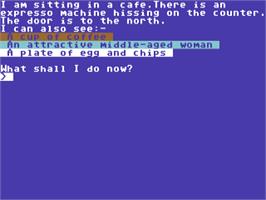 In game image of Jolly Jack's Run Ashore! on the Commodore 64.