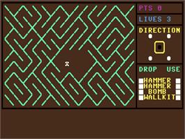 In game image of Lost In The Labyrinth on the Commodore 64.