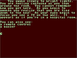 In game image of Memory (John Vanderaart) on the Commodore 64.