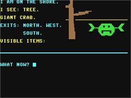 In game image of Mystery Island (1983) on the Commodore 64.