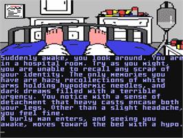 In game image of Nine Princes In Amber on the Commodore 64.