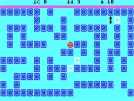 In game image of Pengo (Maze Video / Courbois Software - 1984) on the Commodore 64.