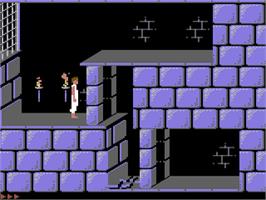 In game image of Prince Of Persia on the Commodore 64.
