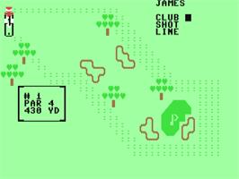 In game image of Pro Golf (BCI Software) on the Commodore 64.