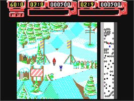 In game image of Professional Ski Simulator on the Commodore 64.