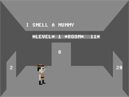In game image of Robbers Of The Lost Tomb on the Commodore 64.