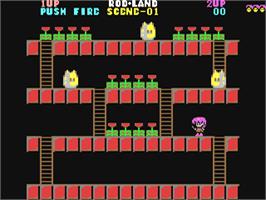In game image of Rodland on the Commodore 64.