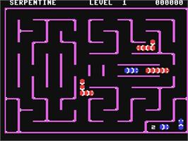 In game image of Serpentine on the Commodore 64.