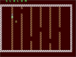 In game image of Slalom (Robtek Ltd. / Andy Keplinger) on the Commodore 64.
