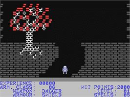 In game image of Sword Of Kadash on the Commodore 64.