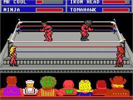 In game image of Take Down on the Commodore 64.