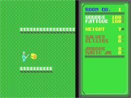 In game image of Temple of Apshai Trilogy on the Commodore 64.