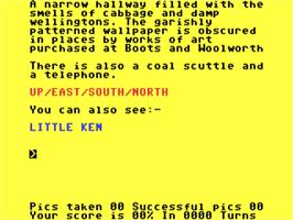 In game image of Terrormolinos on the Commodore 64.
