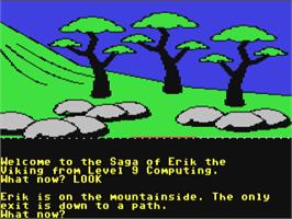 In game image of The Saga of Erik the Viking on the Commodore 64.