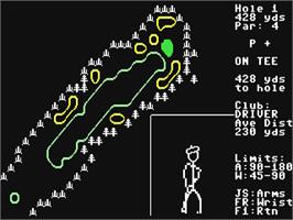 In game image of Tournament Golf on the Commodore 64.