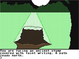 In game image of Transylvania on the Commodore 64.