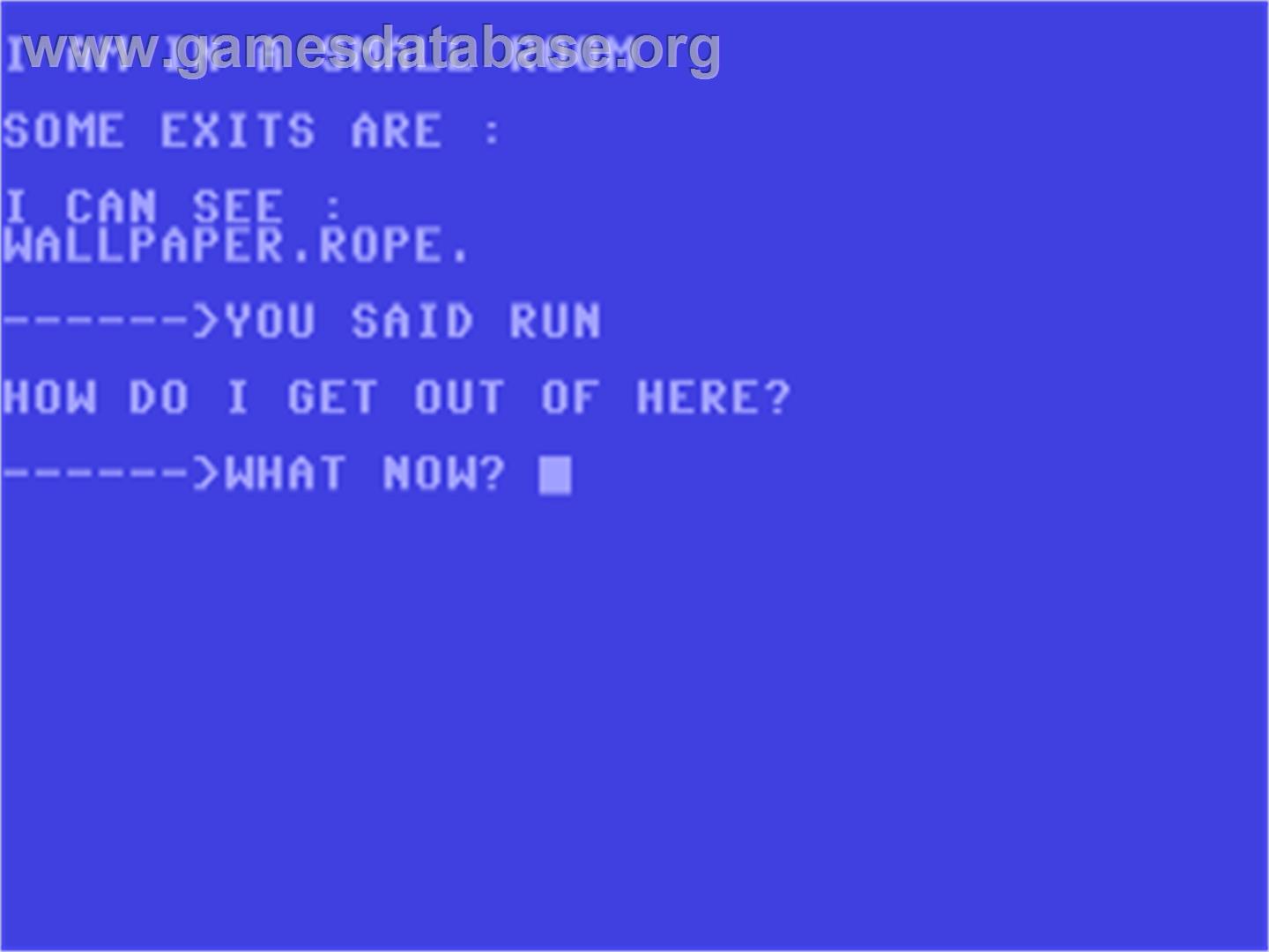 Adventure (SYS PD) - Commodore 64 - Artwork - In Game